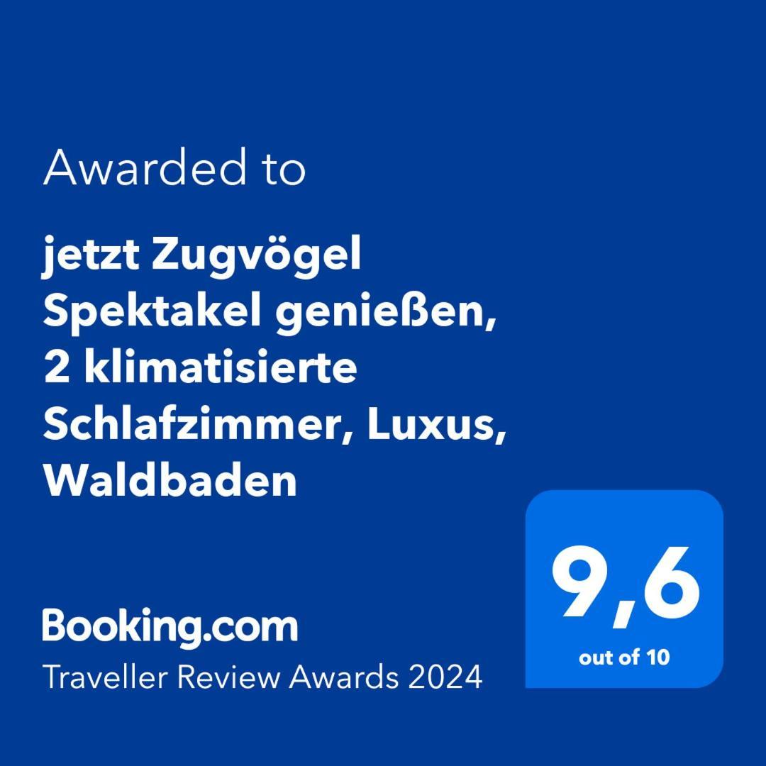 5 Sterne Bahnhoftraum, Appartement "Waldliebe" 133Qm, Grosse Terrasse 70Qm, Qr Code Scannen Fuer Virtuellen Rundgang, Premium Ausstattung Braunfels Εξωτερικό φωτογραφία